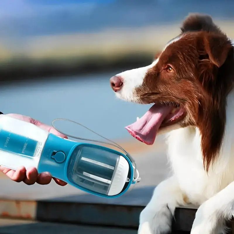 Portable Pet Cup